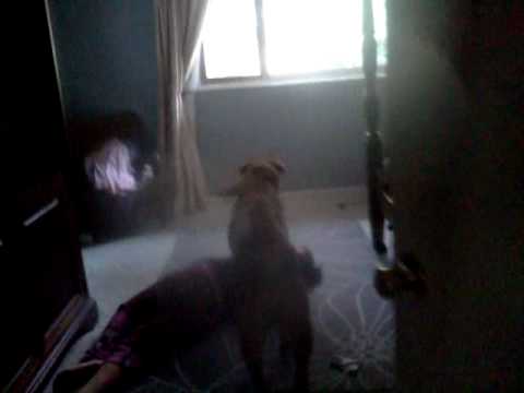 Carina having a mental breakdown...