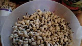 Happy New Year 2010- Cajun Black Eyed Peas