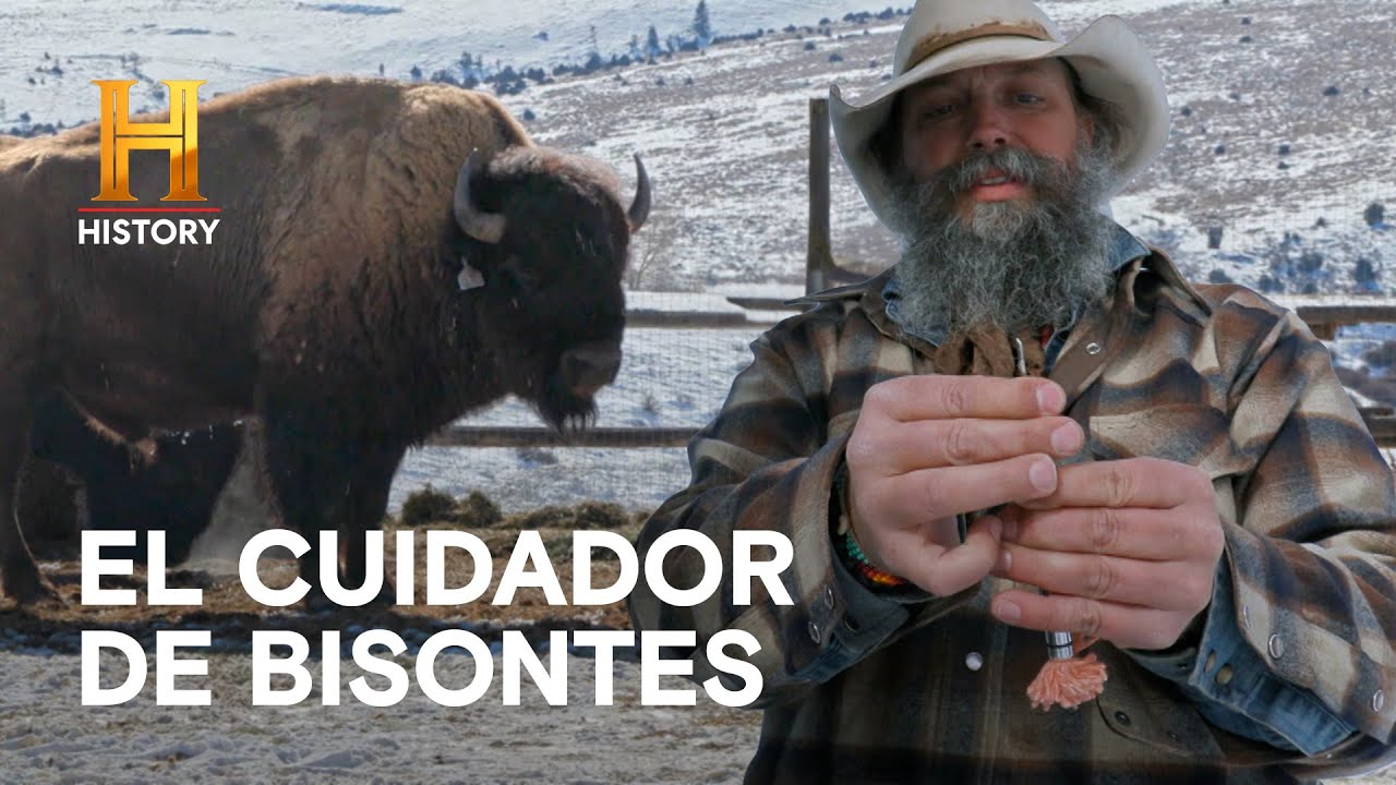 Vivir Entre Bisontes - HOMBRES DE MONTAÑA