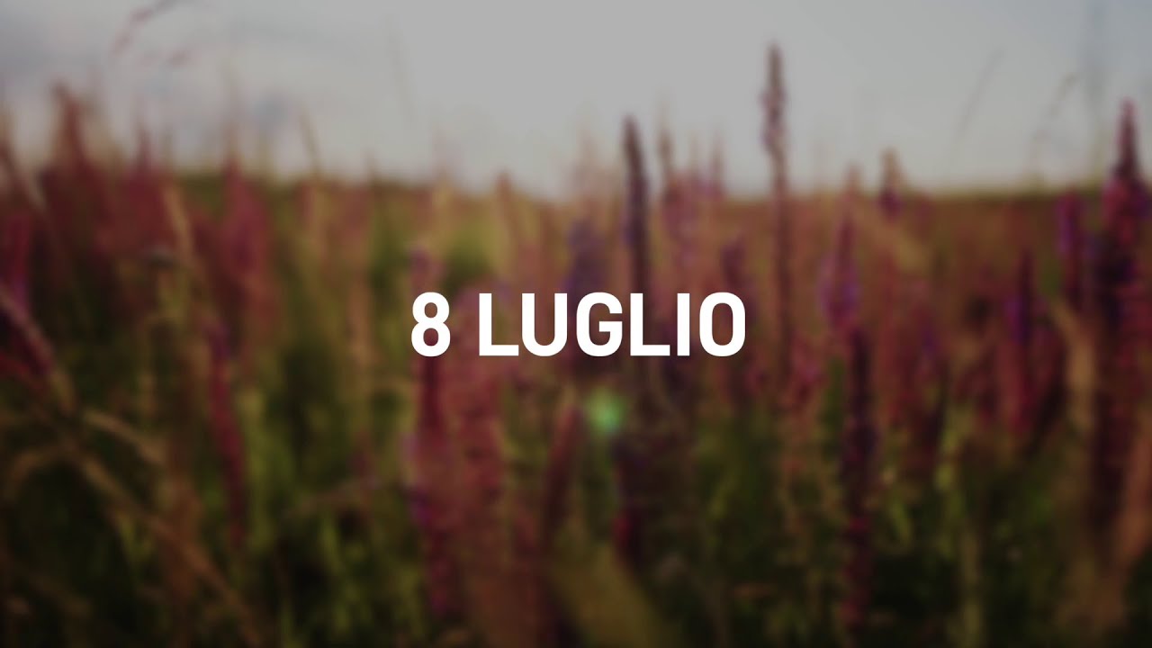 8 Luglio 2025 | Meditazione Parole di Vita