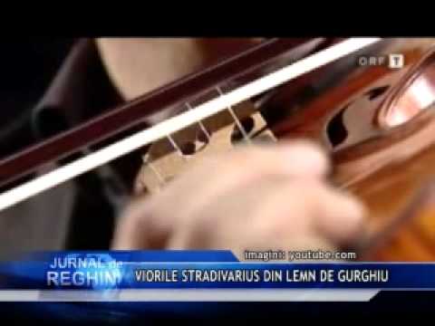 VIORILE STRADIVARIUS DIN LEMN DE GURGHIU