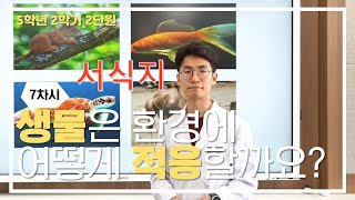 [초등과학, 실험, 인강] 5학년 2학기 2단원 7차시 생물은 환경에 어떻게 적응될까요?