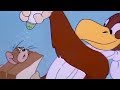Tom And Jerry English Episodes Flirty Birdy Classic Cartoons For Kids