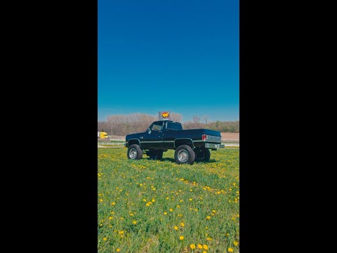 1985 Chevrolet Silverado (CC-2068748) for sale in Volo, Illinois