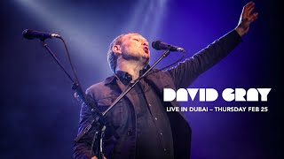 David Gray Live In Dubai Feb 25, 2016