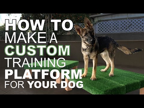 How to Make a Custom Training Platform for Your Dog.