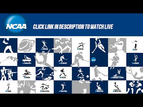 UNI vs. Valparaiso Live Stream - 2024 NCAA Softball