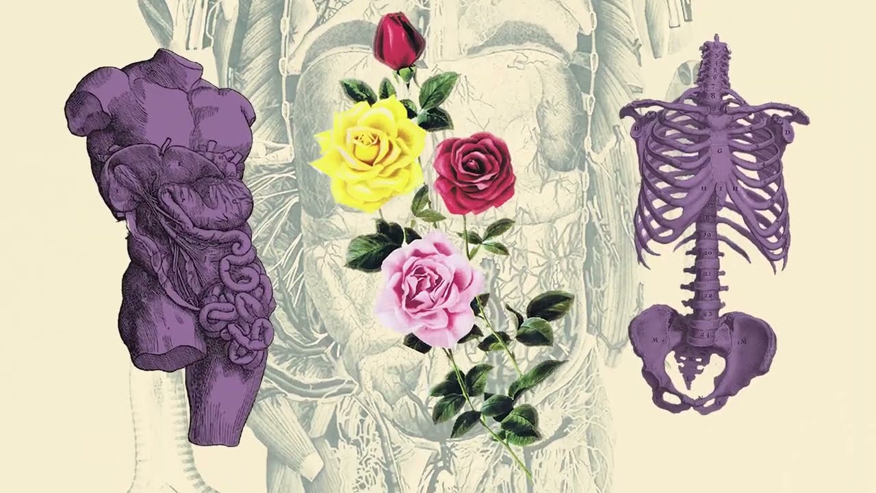 The Call – Broken Social Scene / ブロークン・ソーシャル・シーン 和訳