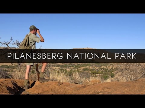 Pilanesberg National Park - South Africa