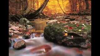 Fay - Francesco De Masi