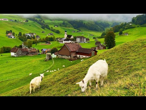 Real Life in Switzerland Countryside 🇨🇭 3 Hours of the Most Beautiful Swiss Villages