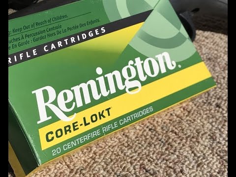 .300 Winchester Magnum, 180gr PSP, Remington (R300W2) Velocity Test