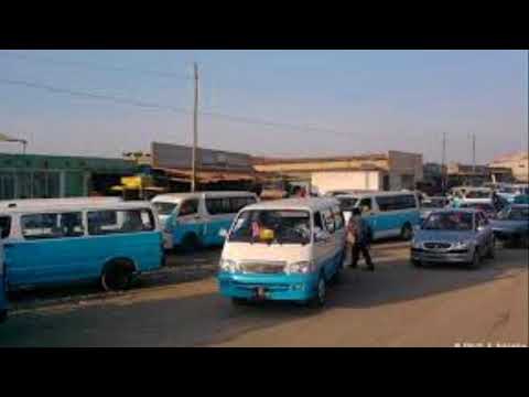 CANDONGUEIRO DE LUANDA