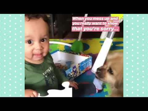 Ronvé (featuring Avionce Hoyles) - "Nothing Else Matters"