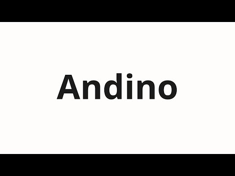 How to pronounce Andino
