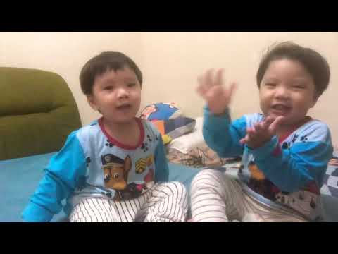 Baby shark by Twins -Aiden & Kingsley edition