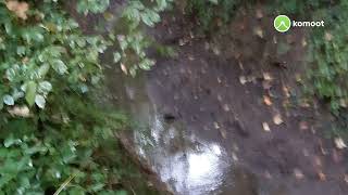 vom Auwald und an der Pleiße nach LE 16 September 2021