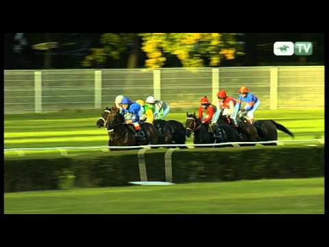 30.09.2012 (D45;G8; tor: 1,9; 16°C)