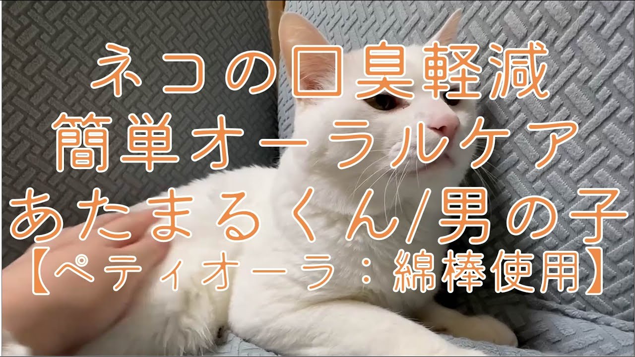 クラウドファンディングプロジェクト：貼るケアで、ペットの幸せを守る。「ペティオーラAD」これからのペットオーラルケア新常識