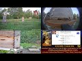 2020 9 26 Back Yard Honey Bee Buzz Birds Traffic More Sounds Indianapolis IN