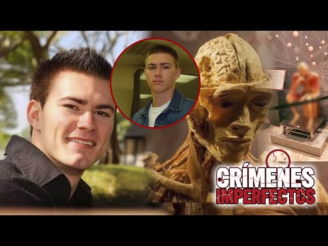 IMPERFECT CRIMES - THE CASE OF THE SAD LOOK - FULL CHAPTER 2025