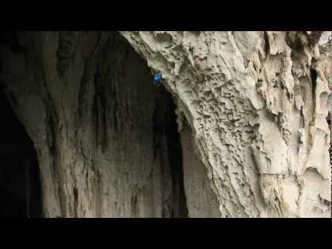 teaser "Voie du Milieu"