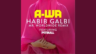 Habib Galbi (feat. Pitbull) (Mr. Worldwide Remix)