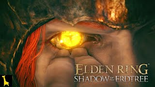 【エルデンリングDLC】#16 SHADOW OF THE ERDTREE ようやく影の城の主と対面 串刺し公、メスメル 邪な蛇、メスメル ELDEN LING 字幕実況