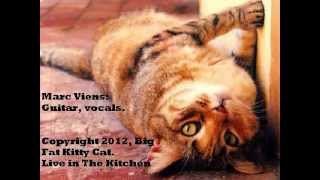 Big Fat Kitty Cat, Live in The Kitchen.wmv