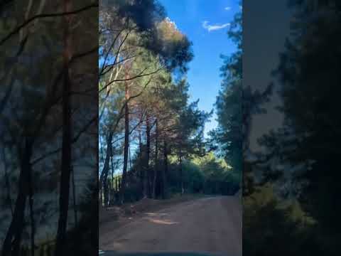 Off-road entre Monte Verde e Santo Antônio do Pinhal