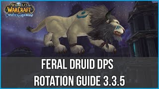 3 3 5 Feral Druid DPS Rotation Guide WOTLK