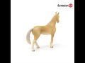 Schleich figūrėlė Achaltekų veislės eržilas