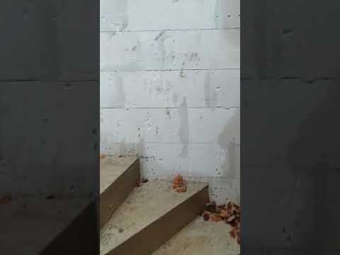 Baustellenbesichtigung Raumwunder 100