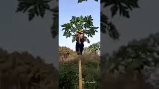 Download lagu Wayahe-wayahe lucu 😂😂 mp3