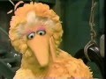 Sesame Street Mr Handford Serenades Maria S Aunt