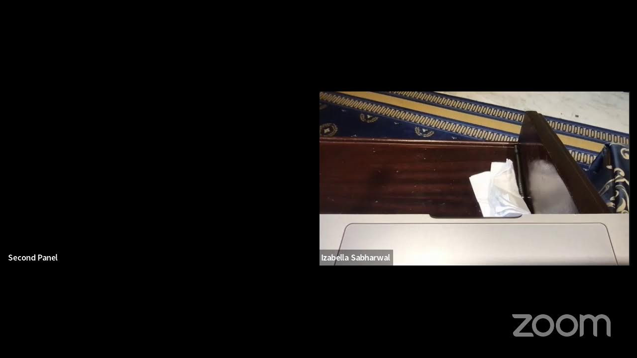 Congressional Briefing March 29 | 2024 | Regulating AI