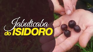 Miniatura do vídeo