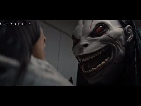 Трейлеры Гримкатти