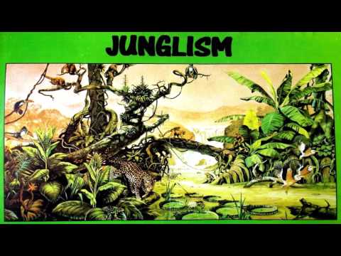 DJ Turtleneck - Untitled