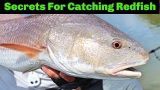 3 Things You Need To Know To Catch Redfish On Cut Bait