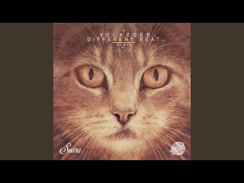 March Quick (Original Mix)