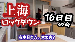【都市封鎖生活】政府からの支援物資