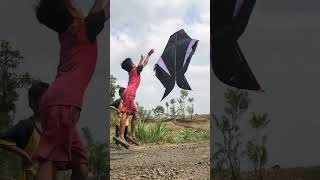 Download lagu Layangan cotek V/S layangan celepuk #layangan #shortsvideo #yearofyou mp3 Download lagu Layangan cotek V/S layangan celepuk #layangan #shortsvideo #yearofyou mp3