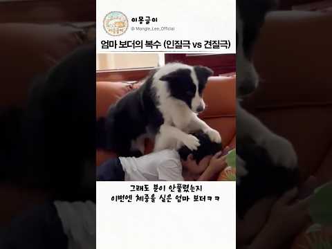 엄마 보더의 복수 인질극 vs 견질극