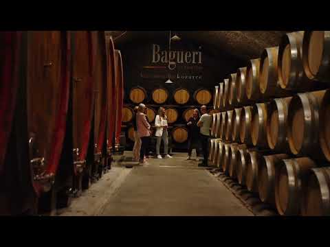 Klet Brda Winery - Leading Organic Producer of Rebula in Slovenia's Primorska Region