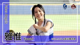 【台湾チア】雅惟 Yawei | Fubon Angels練習生 | 申皓瑋,董子恩,池恩齊 應援曲 + 嗆司曲 藍色狂潮,強悍出擊,GO富邦悍將 [中文歌詞]