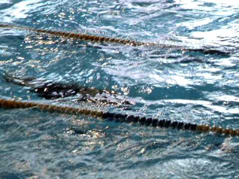 forum 2012 mistaffetta 4x50 mi 120 larus