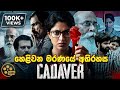Cadaver Sinhala Dubbed 2022 හෙළිවන මරණයේ අභිරහස Full Thriller Movi