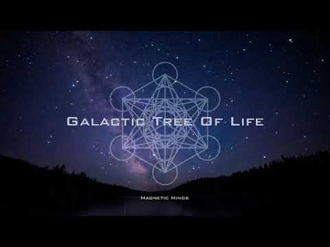 Galactic Tree of Life   Balance For The Times   441 Cube Matrix   Meditation Music