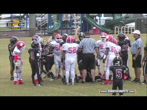 B2C: 10U North Henry Tigers vs McDonough Cougars